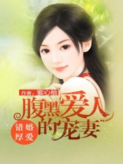 机甲王