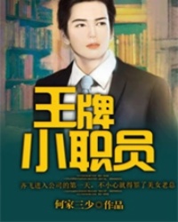 大侦探波罗第三季