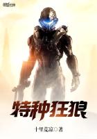 放羊的星星40集完整版高清
