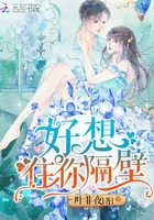 蝙蝠侠成版人版在线
