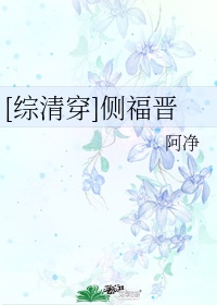 小小的追求