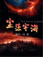全职法师第四季免费