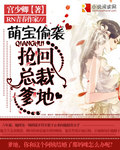 冰山首长独宠重生妻