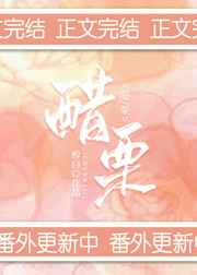 七星彩梦册查码