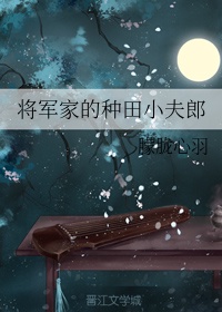 一上来就飙车的双男主小说