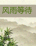 高跟鞋先生