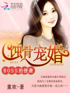 坚定的锡兵