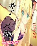 风流村庄