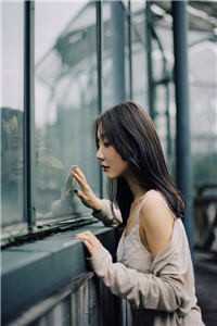 朱晴晴和她的公全文阅读
