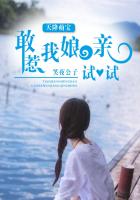 110炽天使加点