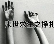 女儿们的男朋友免费完整版