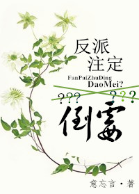 国家队动漫