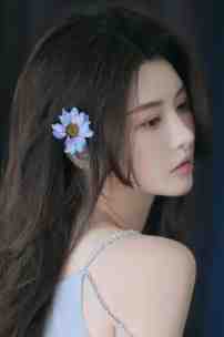 狐妖小红娘免费观看星辰