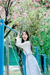 难为女儿红电视剧