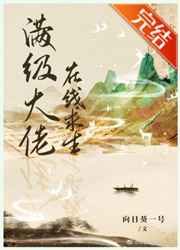 域名停域入口