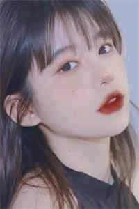 2024韩国理论片日本理论片