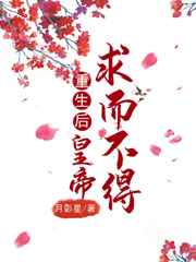 桃源神医林锋