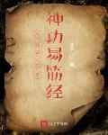 一对一小说