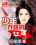 大西北剿匪记