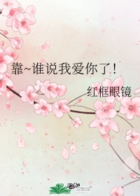 平地机设备司机