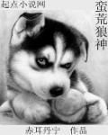 迷羊的小说