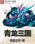 亚洲精品456在线播放无广告