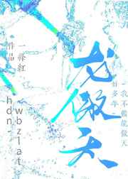 水泄不通肉金银花露