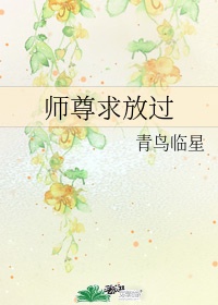 节育环价格表