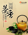 蛇蝎美人第二季在线观看