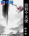 一区二区三高 清