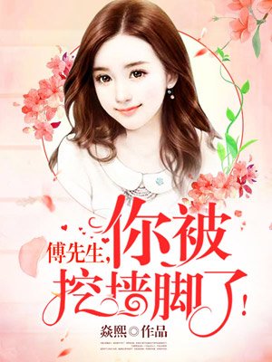 银乱迷史无删减全本