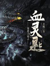 唐人街探案小说