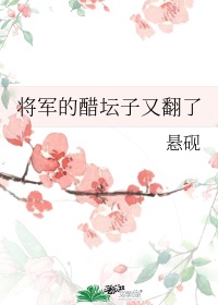 南安太妃传