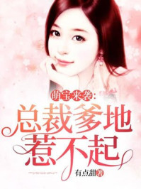 穿越二战德国的小说