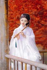 错婚