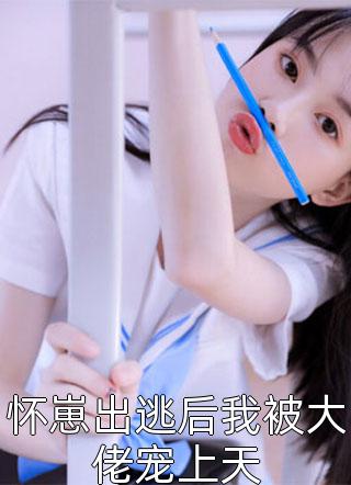 王者荣耀花木兰本子