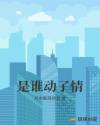 天帝归来云青岩txt下载