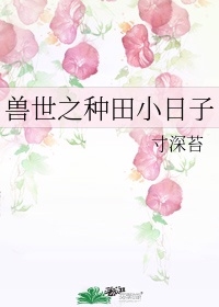 唐时明月宋时关