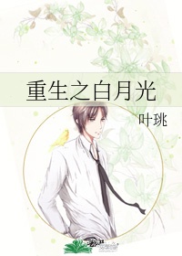阿宾目录在线阅读全文