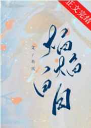 国产自拍视频在线播放