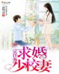 守护丽人电视剧全集在线观看