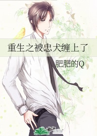 猫咪2.0