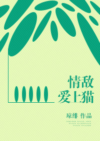 火凤燎原小说