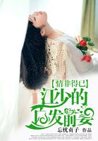 小王子中文版