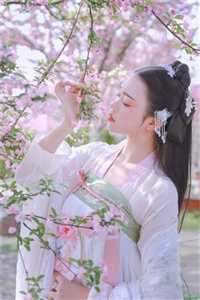 宋二姑娘择婿记