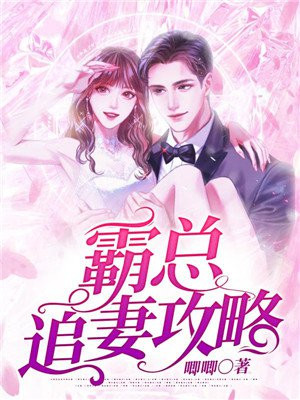 偷心贼在线完整观看bd