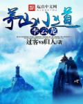 我当农村校长风流韵事