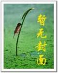 山村老屋攻略