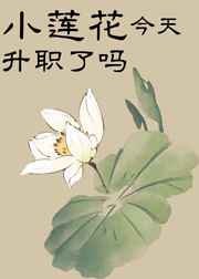 美国式禁忌矿桥矿网第11集