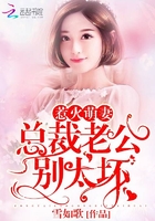 燧石行动免费完整高清第二季
